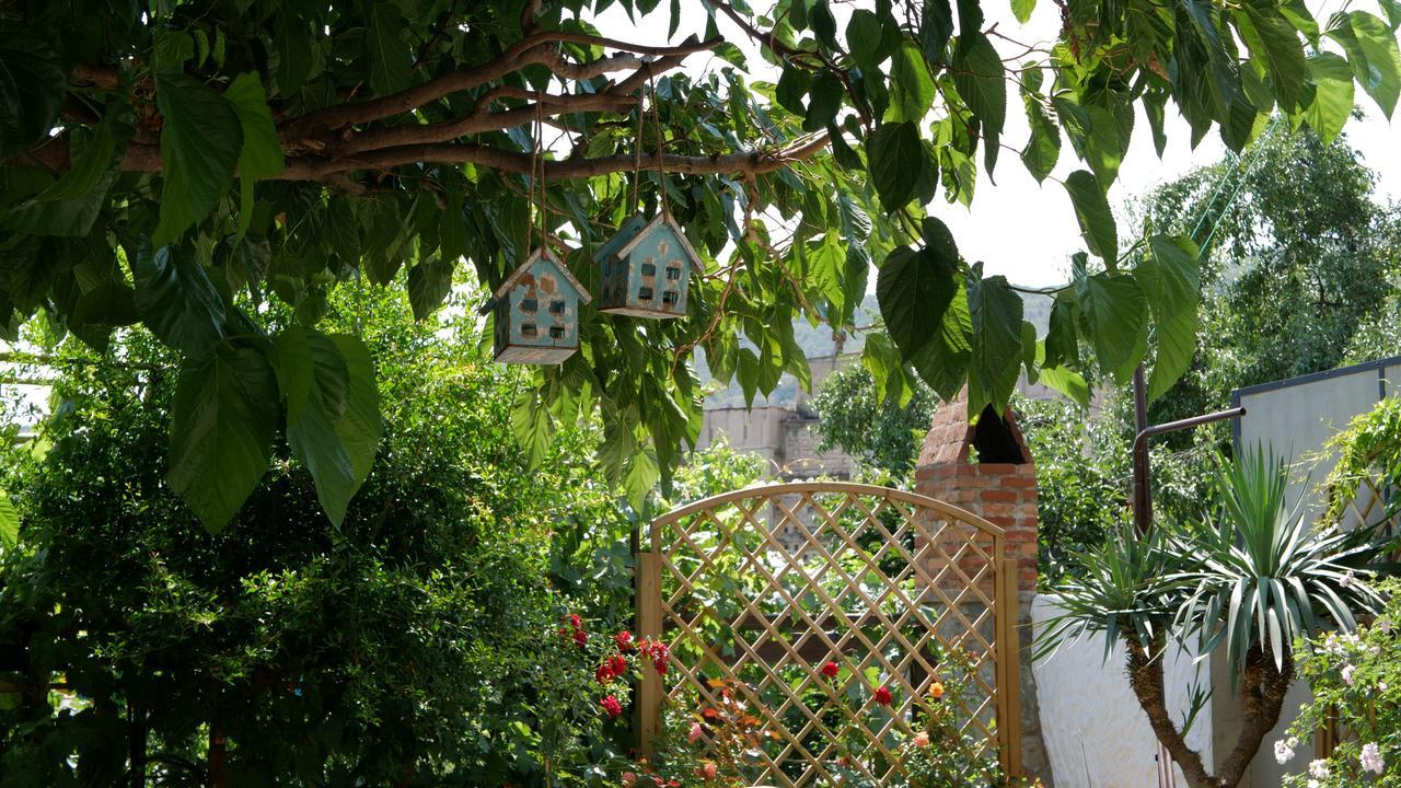 Отель My Garden Тбилиси Экстерьер фото