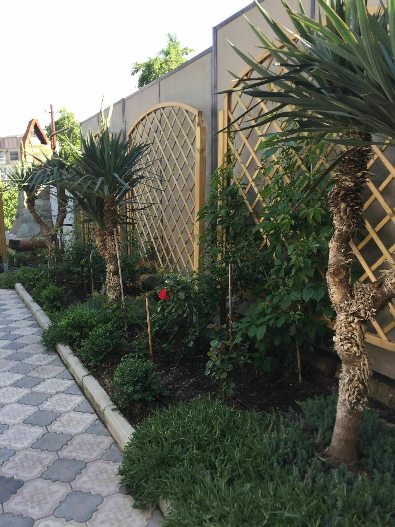 Отель My Garden Тбилиси Экстерьер фото